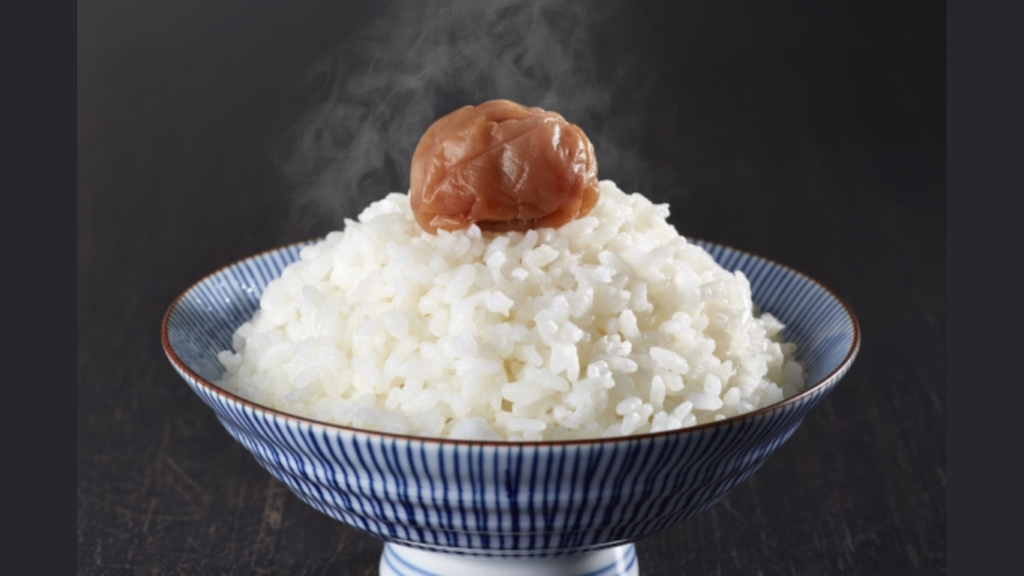 世界一周旅行で梅干しごはんが幸せになった話